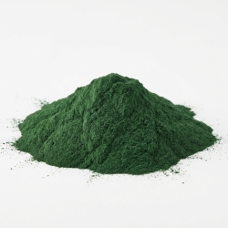 Chlorella W Proszku 1 Kg