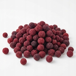 Woskownica Czerwona Liofilizowana Owoc Myrica Rubra 100 g