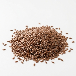 Siemię Lniane Len 100g