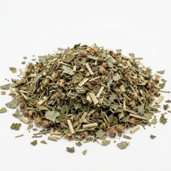 Poziewnik Ziele Galeopsis Tetrahit 1 Kg