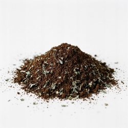 Kawa Arabika Mielona 5 Wysp 1kg