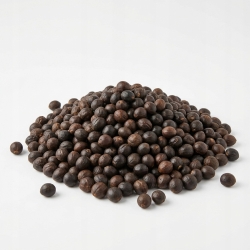 Guarana Ziarno 50g