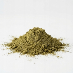 bazylia Indyjska Tulsi Mielona Na Pył (ocimum Sanctum) 100 G