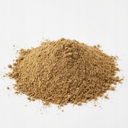 Noni Owoc Mielony 100 G