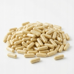 Korzeń Lukrecji Bio 60 Kapsułek (550 Mg) – Dary Natury
