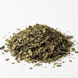 bazylia Indyjska Tulsi (ocimum Sanctum) 1 Kg