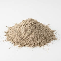 Boczniak Suszony mielony 100 g