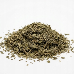Siedmiopałecznik ziele 1 Kg