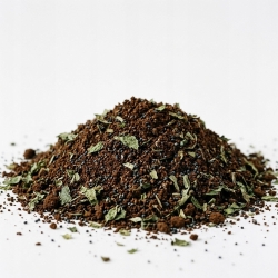 Kawa Hiszpańska Tancerka 1 Kg