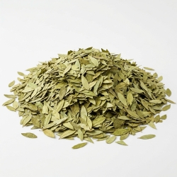 Senes 100 G