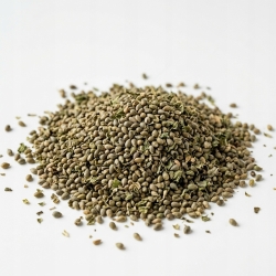 Nasiona Pokrzywa 100 G