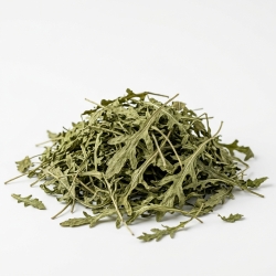 Rukola Cały Liść 1kg