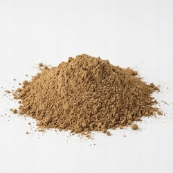 Nasiona Mielone Miodla Indyjska Neem Azadirachta Indica 1 Kg