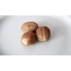 gałka muszkatołowa 50 G