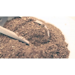 Godam Masala 1kg <u>nowość!</u>