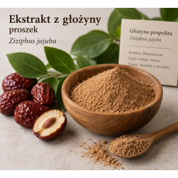 Ekstrakt z głożyny – proszek – Ziziphus jujuba 1 kg