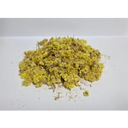 Kwiat Kocanki 100g
