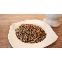 Konopie Ziarno 25 Kg