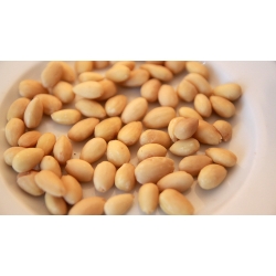 Migdał Blanszowany 1 Kg