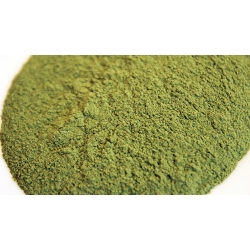 Młody Jęczmień Proszek 1 Kg