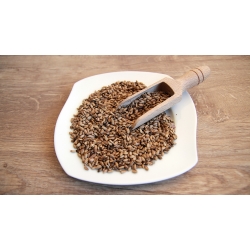 Ostropest Plamisty Owoc 500 G