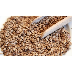 Ostropest Plamisty Owoc 500 G