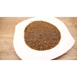 Pietruszka Nasiona 50 G