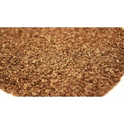 Pietruszka Nasiona 50 G