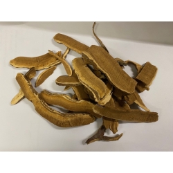Grzyby Reishi Cięty 50 G
