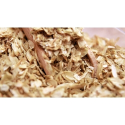 Szyszki Chmielu cięte 100 g