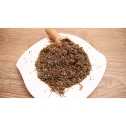 Ziele Srebrnika 100g
