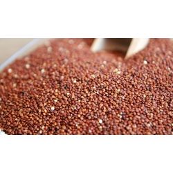 Quinoa Komosa Ryżowa Czerwona Mąka 100 G