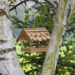 Karmnik Dla Ptaków - Z Drewna Kryty Gontem