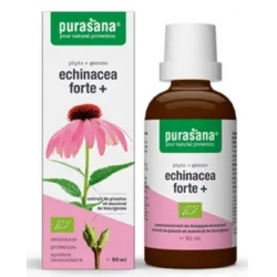 Echinacea Forte (jeżówka Purpurowa) Krople Bio 50 Ml - Purasana